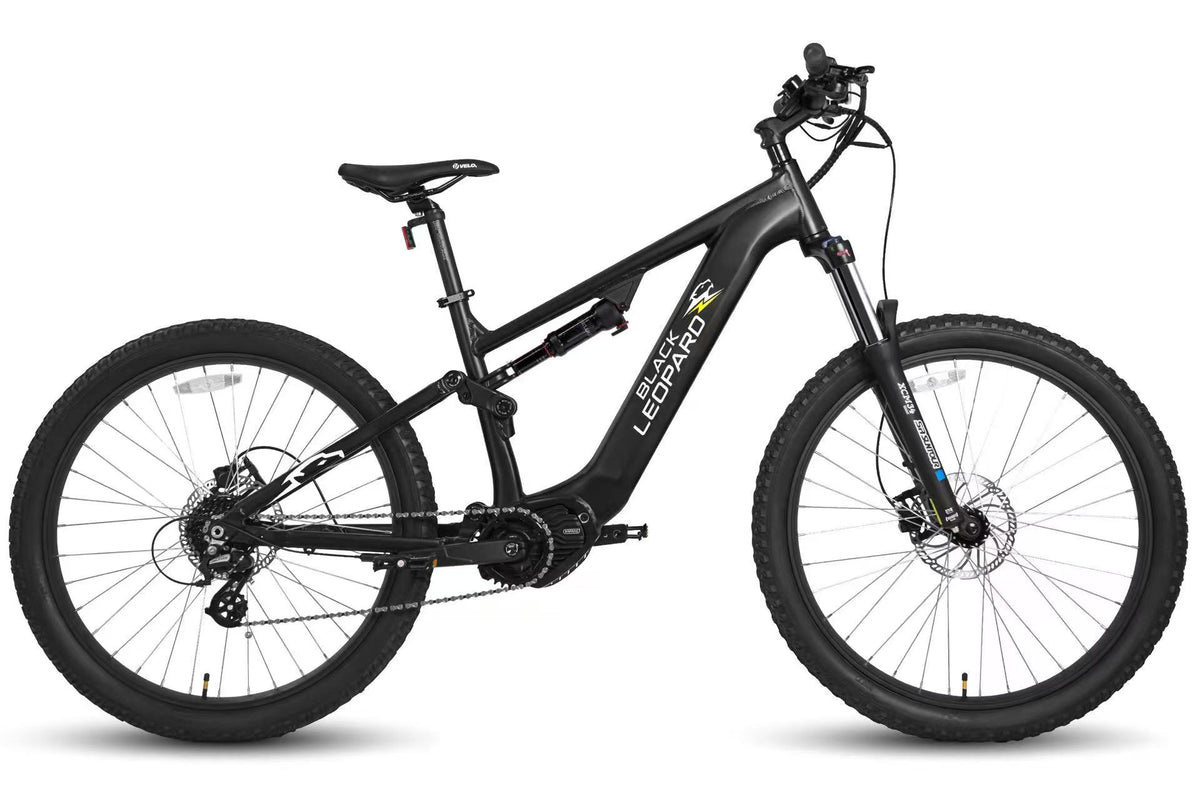 Wild Ebike