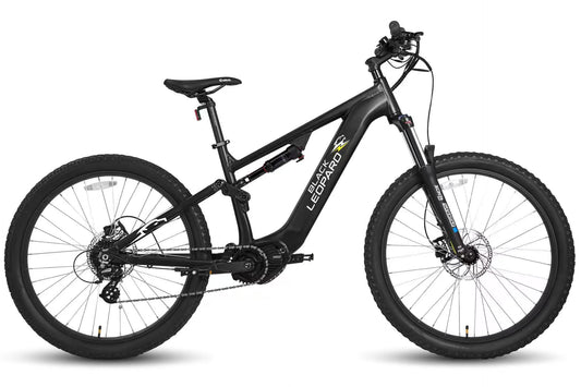 Wild Ebike